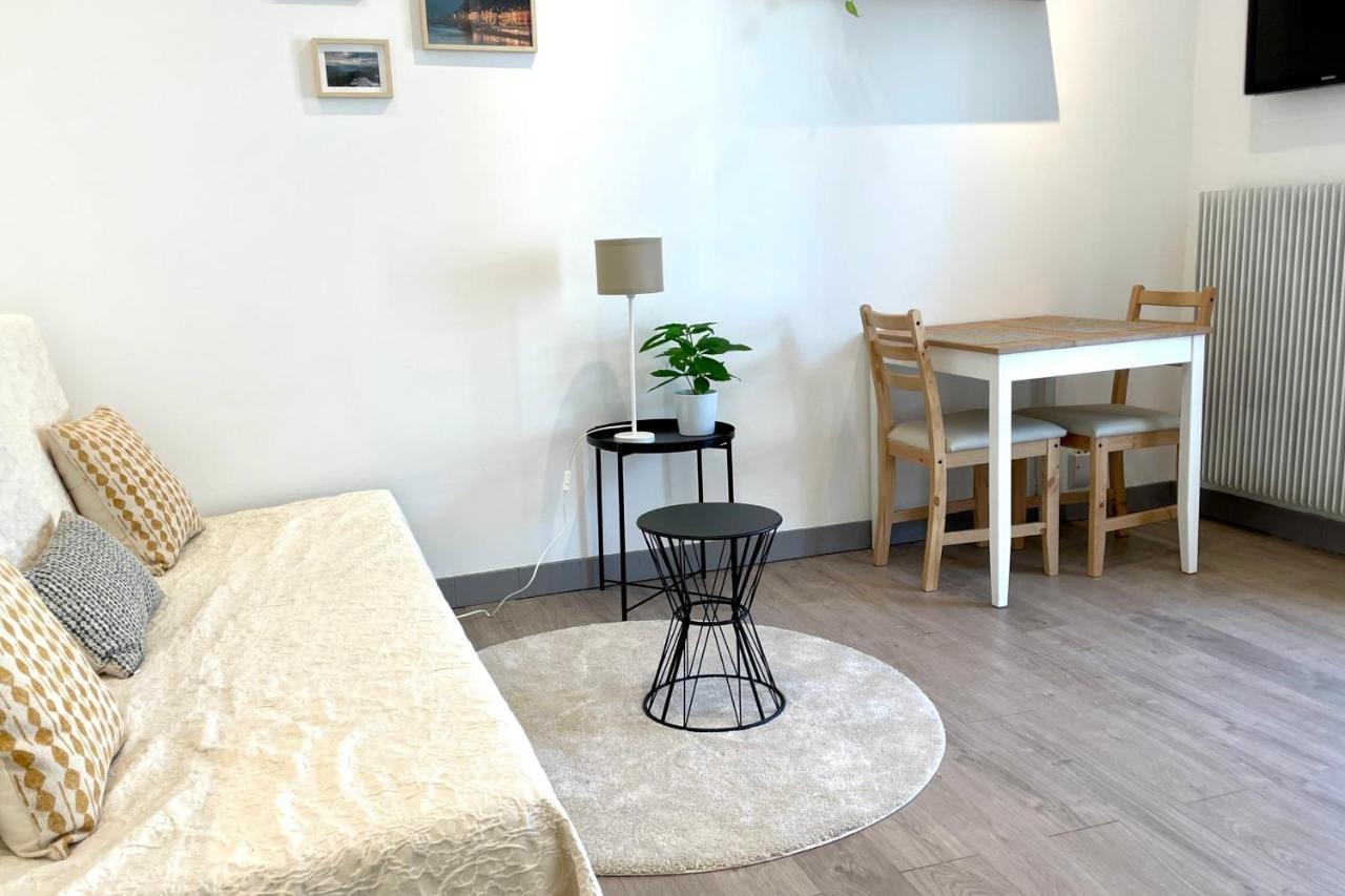 #Dd L'Ecrin Studio Ile Verte Balcony Grenoble Exteriér fotografie